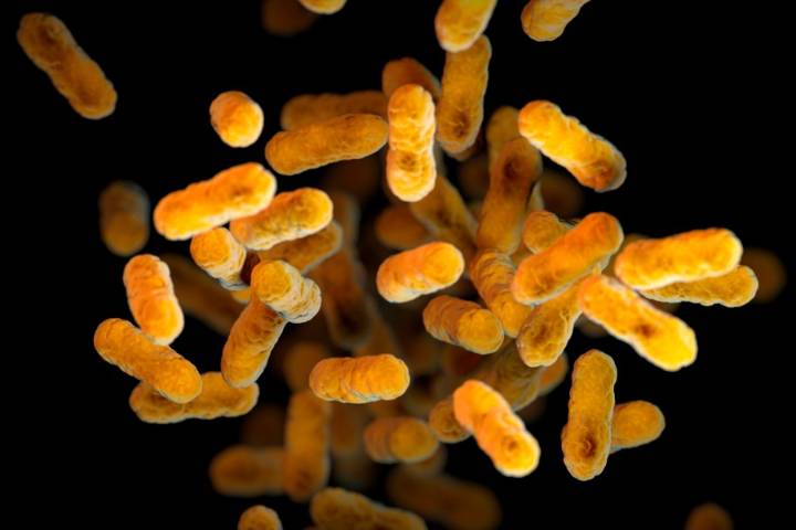 Whooping cough reported in Morton County