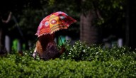"Abochornado": el primaveral pronóstico del tiempo para hoy martes