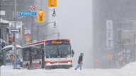 Weather forecast indicates cold, snowy start to winter in Ontario, milder and rainier January