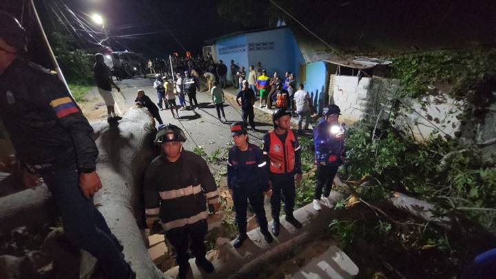 Equipos de protección se activaron para hacer la remoción de árbol caído en El Merecure