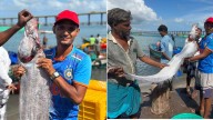 Rare 'Doomsday fish' linked to disaster omens caught by fishermen in Tamil Nadu