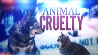 22 animals found dead, over 100 seized in Wyoming raid