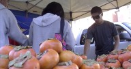 The feds want to know more about the people on food stamps. How Newsom responded