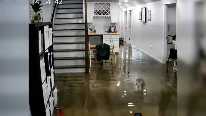 Illinois Dog’s Response To Rising Water Turns Into A Viral Moment Of Comedy