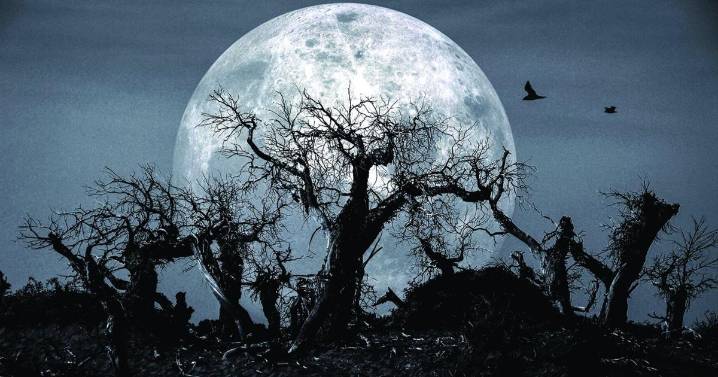 Gothic horror comes to town in 'The Woman in Black' at Hickory Community Theatre