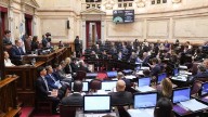 La oposición volteó en el Senado los vetos al Garrahan y universidades