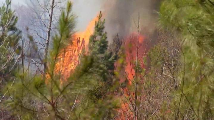 Fire danger on the rise across South Carolina due to dry, windy conditions