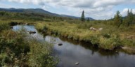 Inside Vermont’s largest wildlife management area