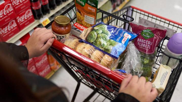 States sue to keep food assistance flowing amid shutdown