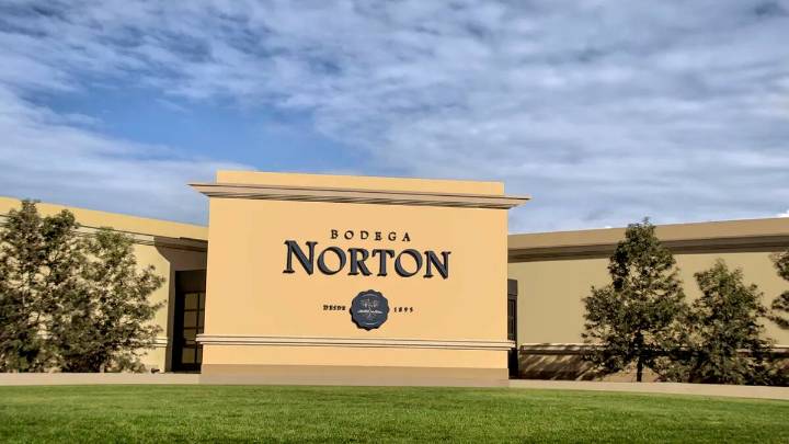 Golpe a la industria. Bodega Norton se presentó en concurso de acreedores