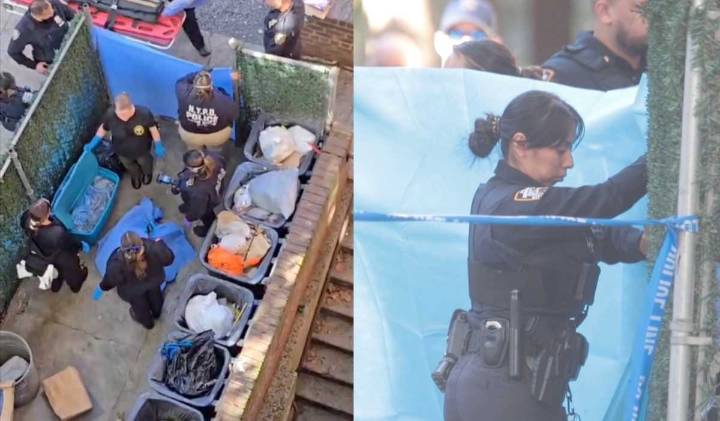 Brooklyn body mystery: Person of interest fought cops after arrest for rotting corpse in trash