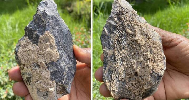 1.4-Million-Year-Old Ax Made From Hippo Bone Discovered In Ethiopia