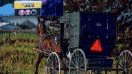 Amish Man Can't Figure Out Why He Got This 'Carbon Tax Relief' Cheque