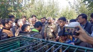 Leopard captured live in Kupwara’s Ashpora village
