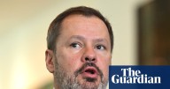Australia must ‘have the guts’ to stand up to Japanese companies reselling gas for profit, Husic says
