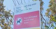 Sydney news: Year-long leash-free dog trial comes into effect on popular Sydney beach