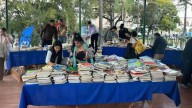 La Municipalidad comienza la recolección de ejemplares para la gran Suelta de Libros