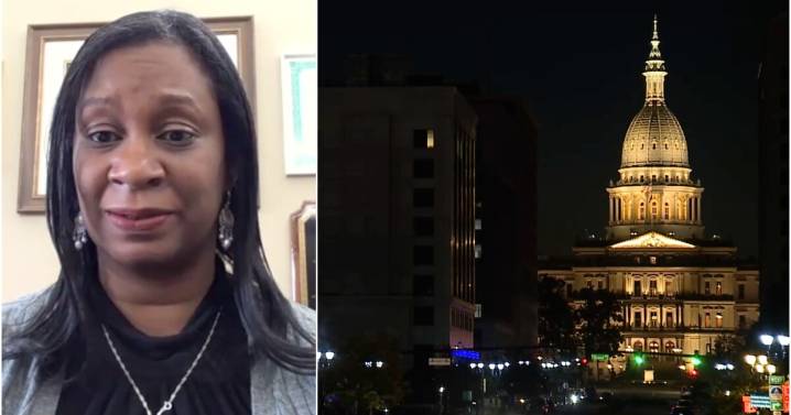 Michigan lawmakers propose emergency food aid package as SNAP benefits expire