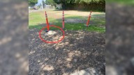 California Woman Notices A Dog Lying Next To A Traffic Cone And Makes A Shocking Discovery
