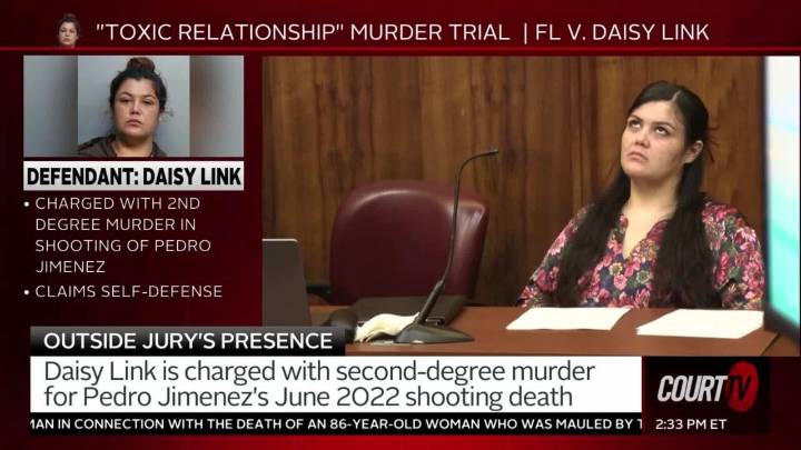 Judge Admonishes Defendant Daisy Link for Making Facial Expressions