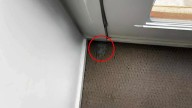 'Wildly unreasonable': Landlord branded 'insane' after charging tenant $1,200 over 'wear and tear'