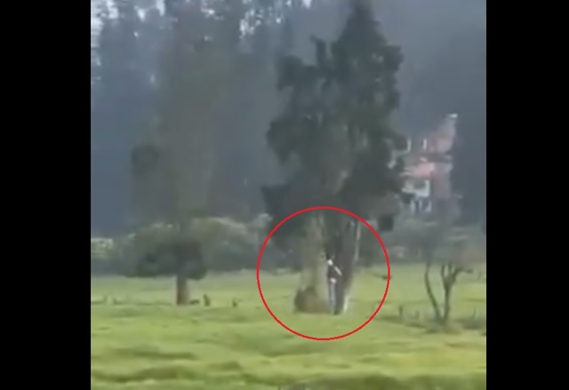 Hallazgo de cuerpo colgado de un árbol en Soacha reabre el debate sobre la salud mental y la seguridad en el municipio