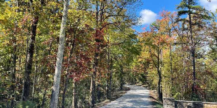 What’s going on with Kentucky’s fall colors this year?