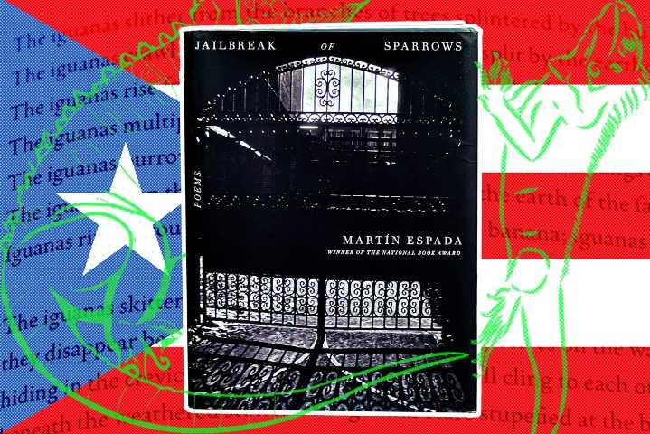 How invasive iguanas in a cemetery inspired this award-winning poet to confront Puerto Rico's colonial past