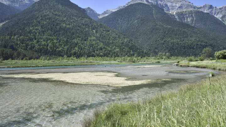 Jarro de agua fría del Gobierno a la petición de limpiar algunos embalses en el Pirineo: "Hay que convivir con el problema"