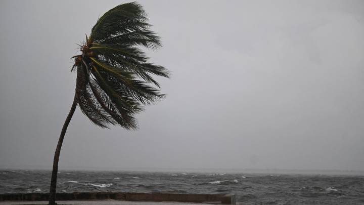 Local Jamaican community braces for Hurricane Melissa as loved ones hunker down