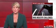 Wine industry impacted by changes in alcohol consumption and attitudes