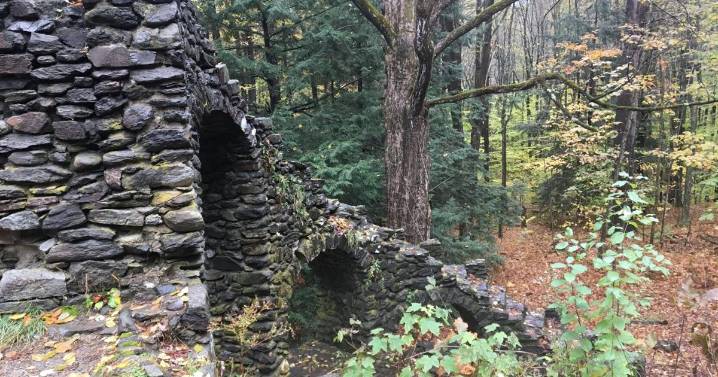 Forest Journal: Haunted woods? No, but let your imagination run wild