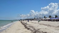 Más de cinco mil visitantes arriban a Progreso; reportan buena jornada turística