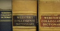 Author Stefan Fatsis on the love of words and why "dictionaries are in peril"