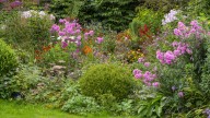 17 Stunning Fast-Growing Flowers That Thrive In Sandy Soil