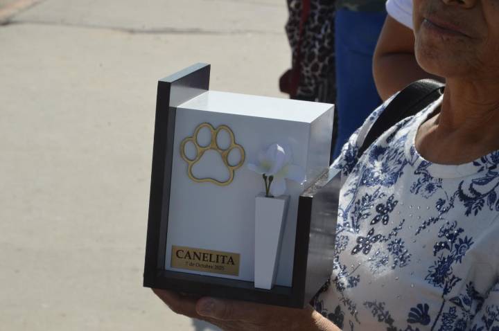 Animalistas exigen justicia para perra “Canelita”