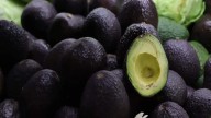 Morelos consolida exportaciones de aguacate, jamaica y mezcal en Europa