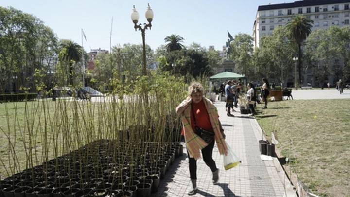 La UNR entregará mil árboles nativos producidos en el vivero de Agrarias