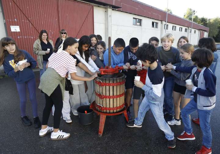 Doscientos escolares se familiarizan con la sidra en Gijón