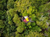 Real Canadians: Healing forests grow in popularity