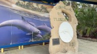 Bankruptcy judge to consider sale of Marineland to Texas developer as another group tries to block deal