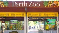 Floreat childcare provider TheirCare fined for losing two children at Perth Zoo