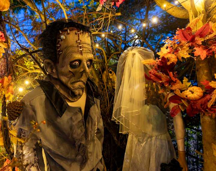 Visit the Halloween Garden... if you dare
