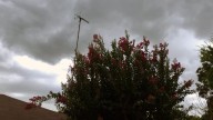 Severe weather, brief tornadoes possible in MS tonight, Sunday morning