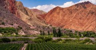 El cielo de Jujuy en una copa de vino