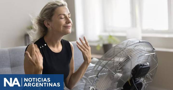 Ni aire ni ventilador: el enemigo silencioso del verano y los 5 errores que disparan tu factura de luz