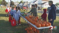 Miami Co. Jr. Farmers Market gives kids a lesson in managing money