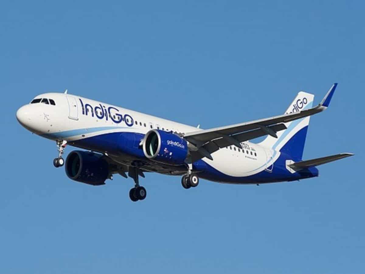 IndiGo's Festive Sale: Domestic fares start at Rs 2,390, international at Rs 8,990 in limited