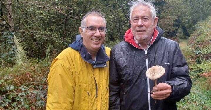 Mínguez, medio siglo de divulgación micológica