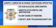 A suspect has been arrested after a human trafficking investigation